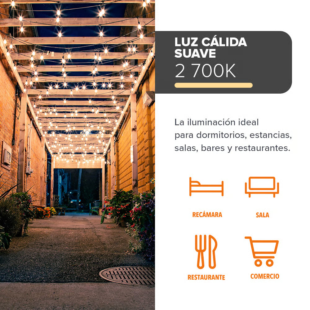 FESTON - Serie de 24 Luces LED